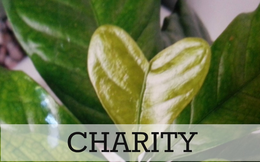 donate-2-charity